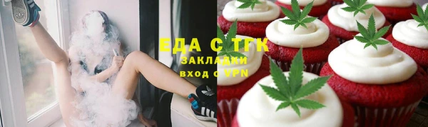хмурый Аркадак