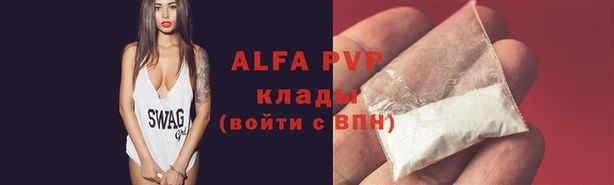 хмурый Аркадак
