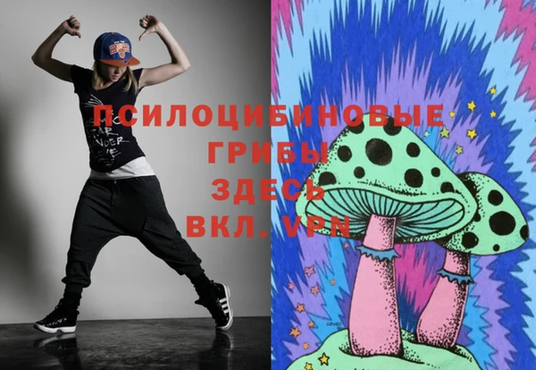 хмурый Аркадак