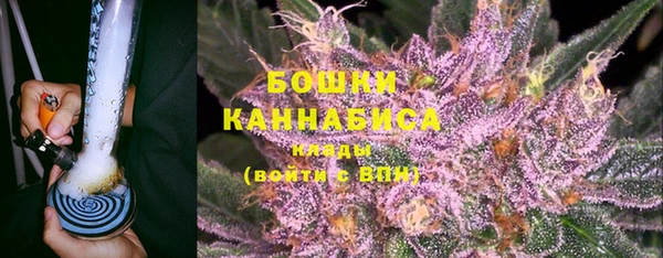 хмурый Аркадак
