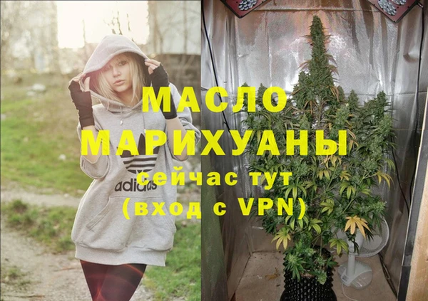 хмурый Аркадак