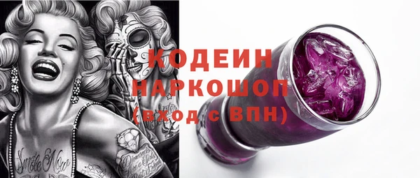 хмурый Аркадак