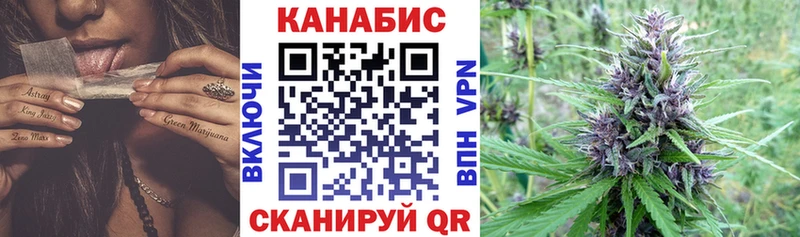 Бошки Шишки ГИДРОПОН  цена   OMG ТОР  Салават 